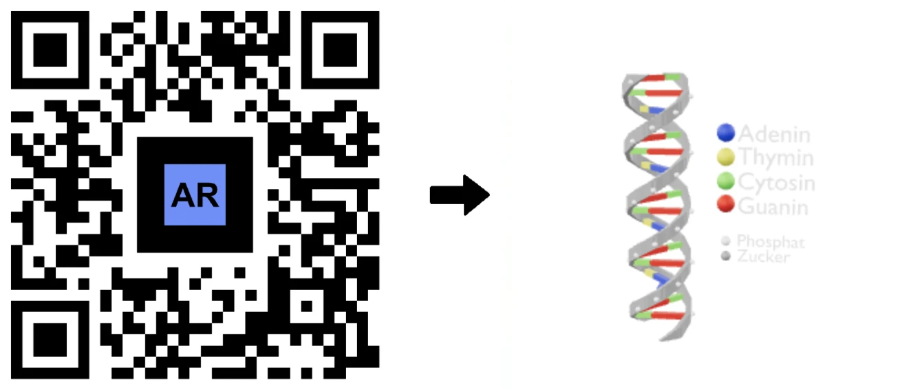 AR QR Code for Education DNA