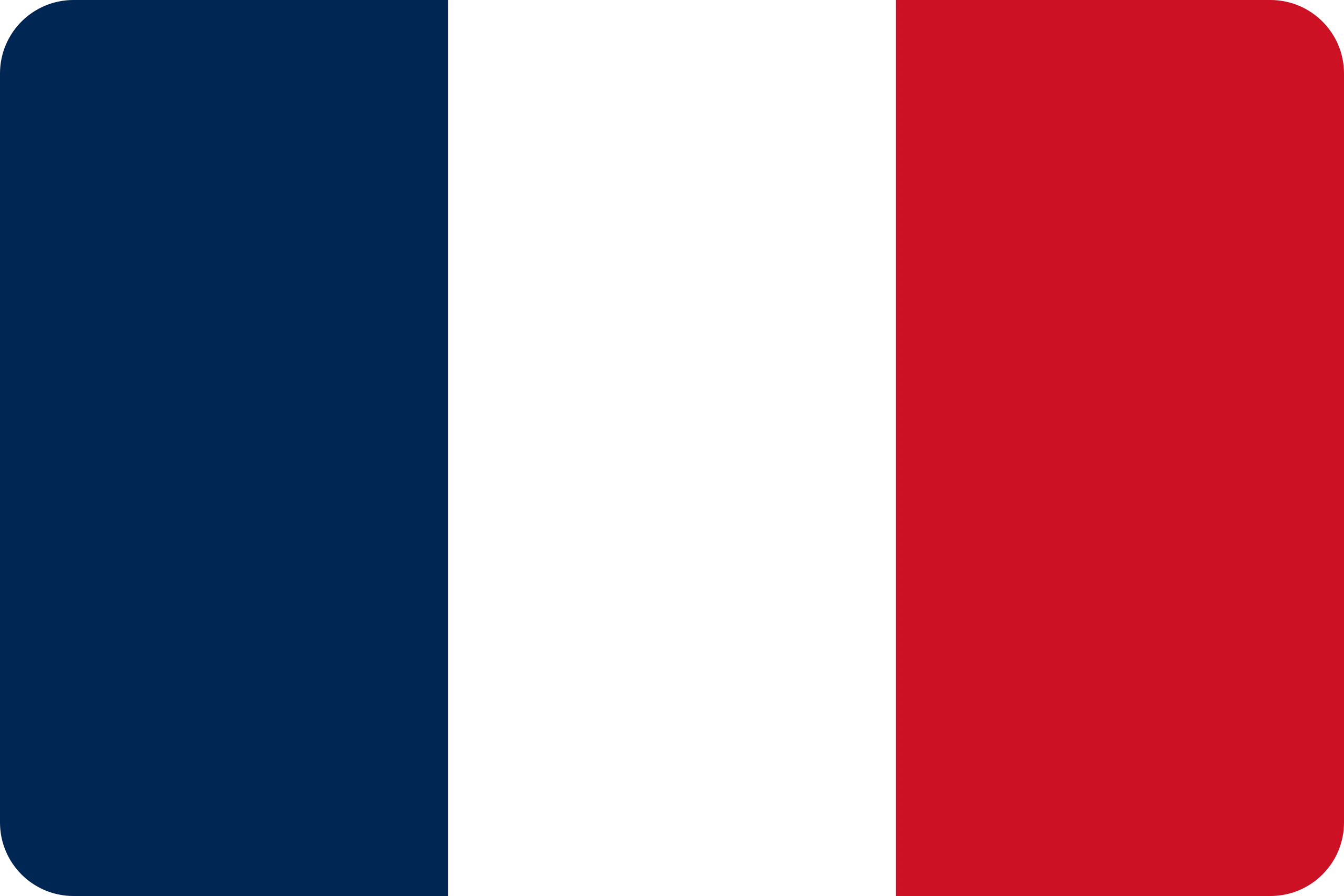 france flag paint