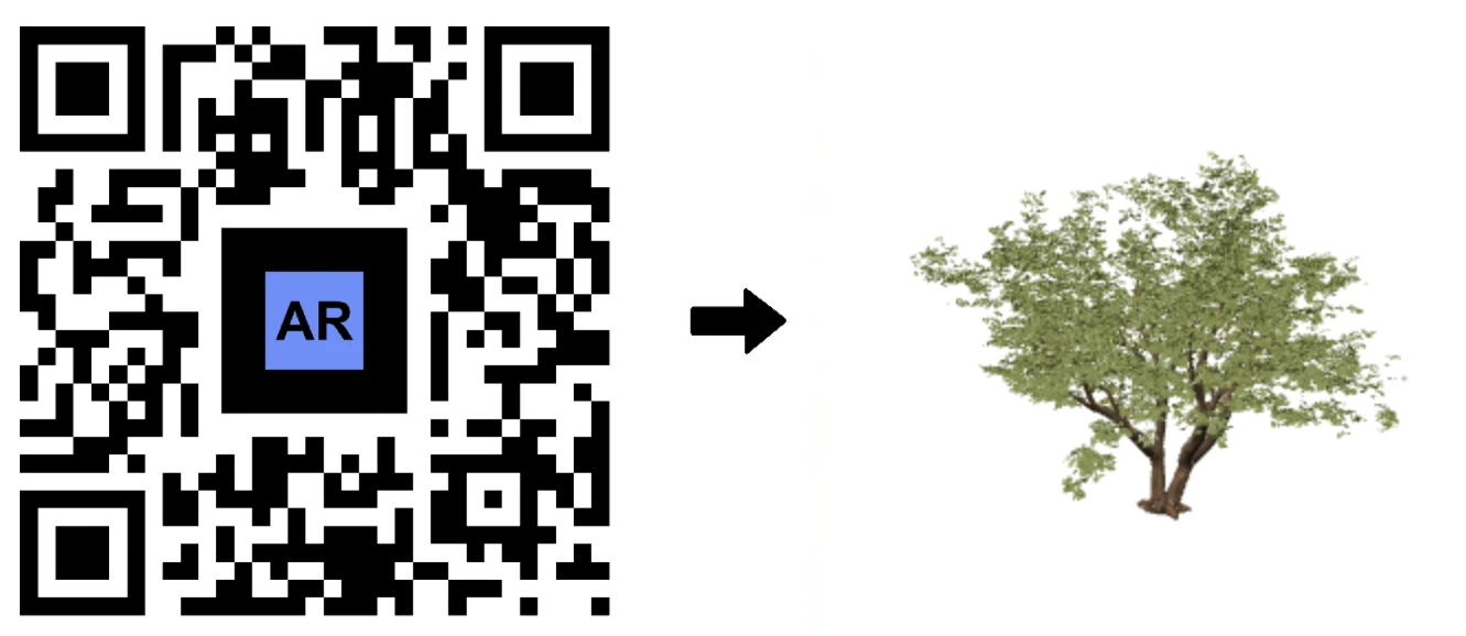 Jacaranda-puu 3D-muodossa kasvitieteelliseen opiskeluun