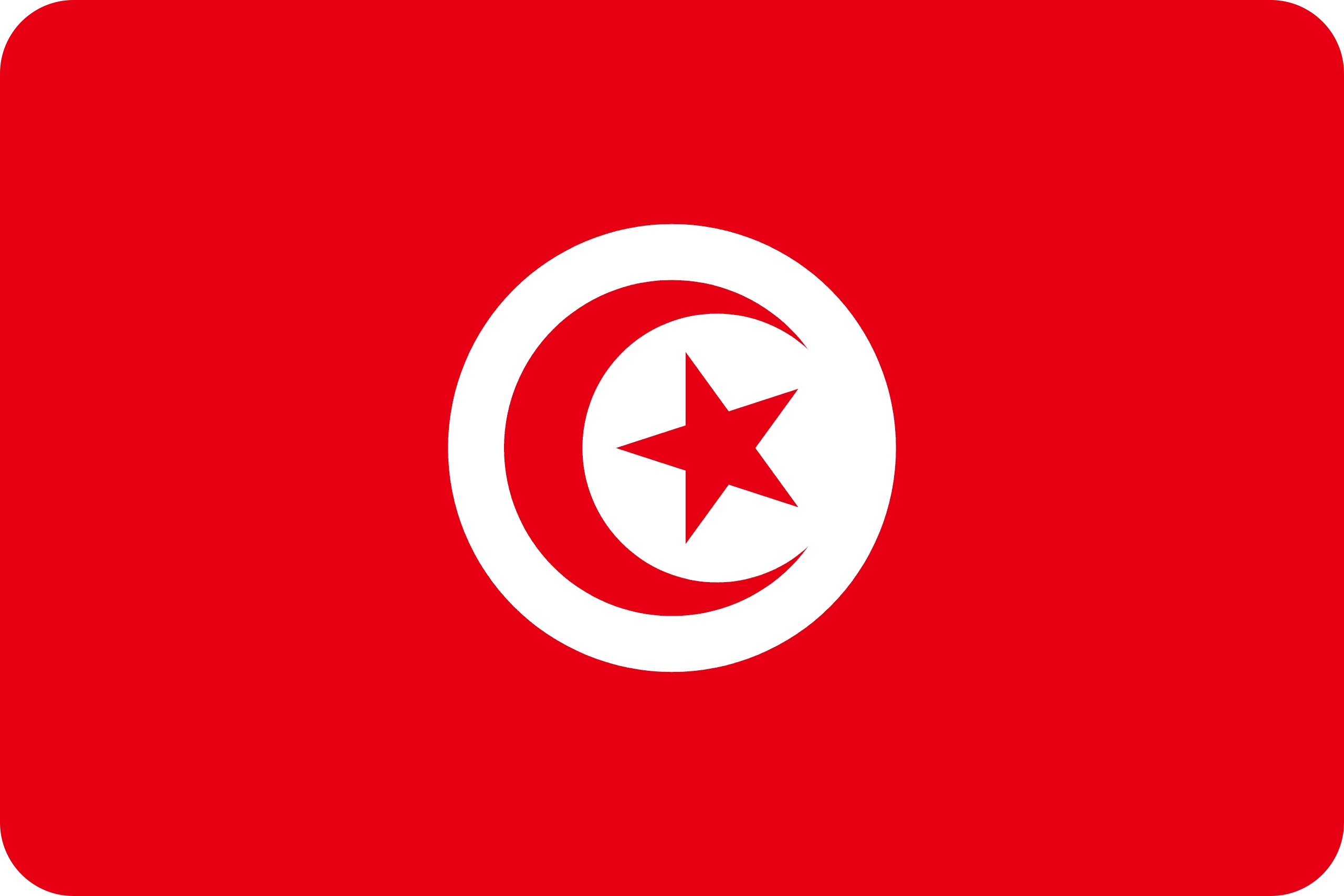 tunisia flag paint